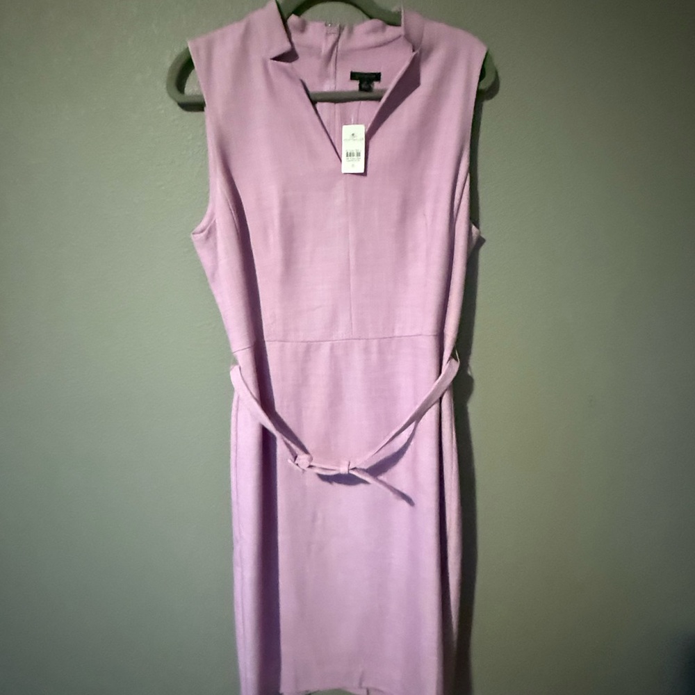 Ann Taylor Dusty Rose Sheath Dress with Slim Belt

New with tags.